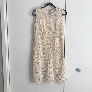 Ivory Knit Lace Dress - Ryan Mitchell